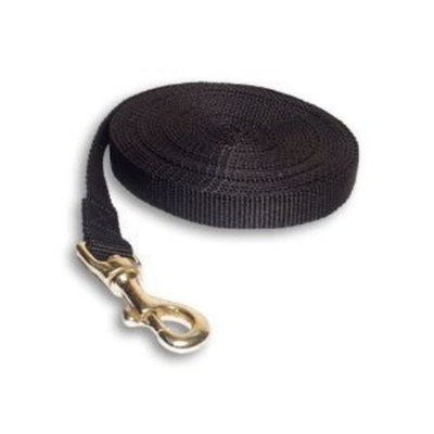 Dean & Tyler Nylon Track Leash with Solid Brass, Black