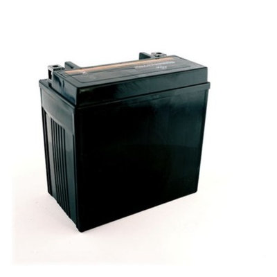 YTX14L-BS Motorcycle Battery for Harley-Davidson 1200cc XL XLH Sportster 2006