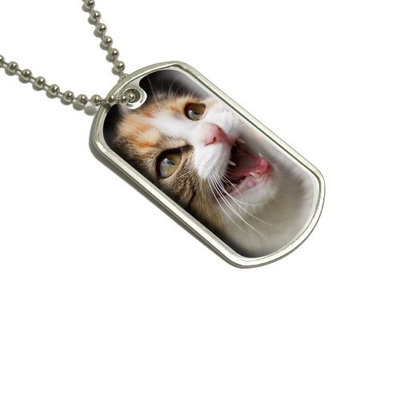 Tabby Kitten Cat Meow Military Dog Tag Luggage Keychain