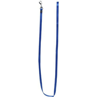 Dogit Nylon Single Ply Training Dog Leash, Large, Blue