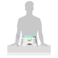 Fisher-Price Stepstool Potty, Royal