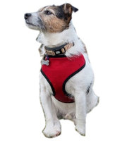 Medex 2 Layer Adjustable Added Dog Friendly Vest Harness By Animal Heaven-Color Red- Size LARGE