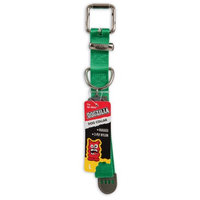 Petmate Zurn Pex 2 Packs COLLAR LR GRN 1