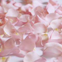 Fresh Pink Rose Petals, Approximately 3000 units by InBloom Group