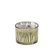 Deco Breeze CDL6417 16 oz Gilded Glass Crisp Candle - Night Air