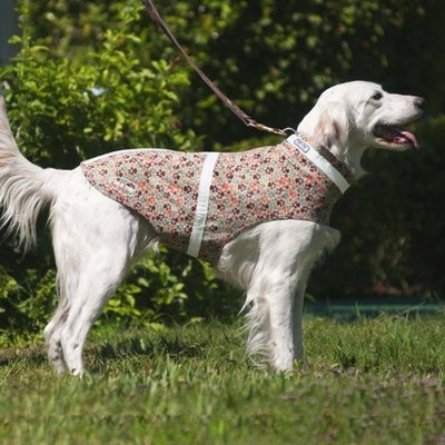 Corky's Collars See-Me Dog Vest, Medium, Corky's Camo