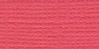 Bazzill BAZL-E-134 Bazzill Cardstock 12 x 12 Inch - Case of 25