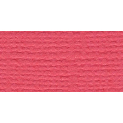 Bazzill BAZL-E-134 Bazzill Cardstock 12 x 12 Inch - Case of 25