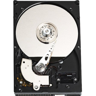Western Digital Caviar Blue WDBAAV3200ENC-NRSN 320GB Internal Hard Drive