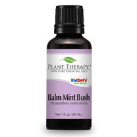 Plant Therapy Essential Oils Balm Mint Bush Essential Oil. 30 ml. 100% Pure, Undiluted, Therapeutic Grade.