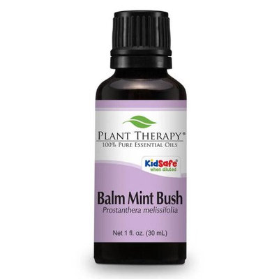 Plant Therapy Essential Oils Balm Mint Bush Essential Oil. 30 ml. 100% Pure, Undiluted, Therapeutic Grade.