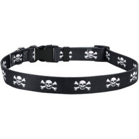 Yellow Dog Design Yellow Dog Collar Medium 14