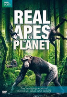 Bbc Home Entertainment Real Apes Of The Planet DVD (Standard Screen; Soundtrack English)