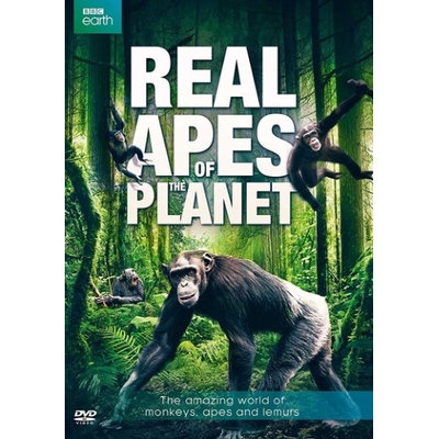 Bbc Home Entertainment Real Apes Of The Planet DVD (Standard Screen; Soundtrack English)