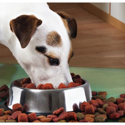 P-TEX | Anti-Microbial Pet Mat | Protective Mat for Hard Floors | Size 36