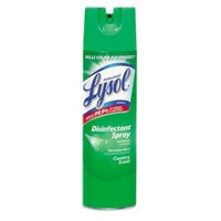 Professional Lysol Lysol Disinfectant Spray 19 oz, Country Scent, 4 Pack