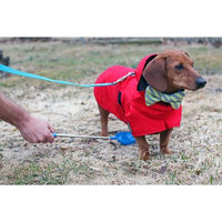 Petconfirm P-Scoop Urine Collector