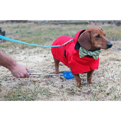 Petconfirm P-Scoop Urine Collector