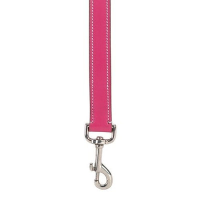Casual Canine 5/8-Inch Flat Leather Dog Lead, Raspberry Sorbet