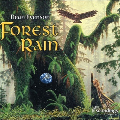 Dean Evenson Forest Rain