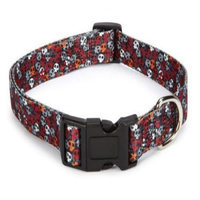 Petedge ZA1518 14 69 CC Bone Heads Collar 14-20 In Orange