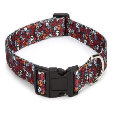 Petedge ZA1518 14 69 CC Bone Heads Collar 14-20 In Orange