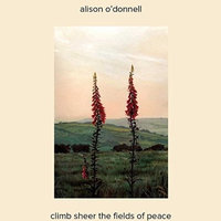 Climb Sheer The Fields Of Peace (IMPORT)