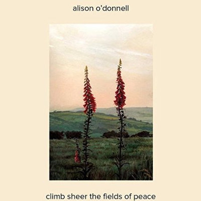 Climb Sheer The Fields Of Peace (IMPORT)