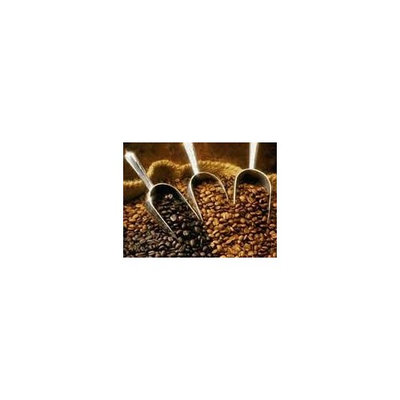 Papua New Guinea Organic Estate Coffee Beans (Medium Roast (Full City +), 10 Pounds Whole Beans)