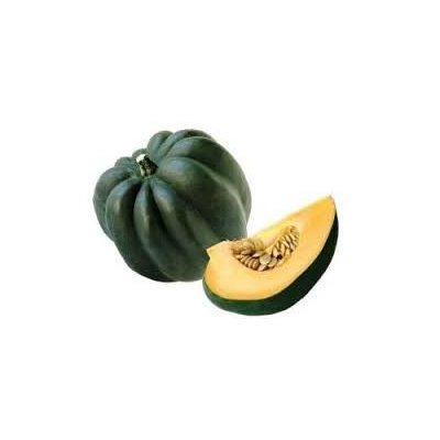 The Dirty Gardener Table Queen Acorn Squash Seeds, 1 Pound