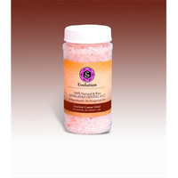 Evolution Salt EGSCG-500 1.1 lb Gourmet Crystal Salt Coarse Grind