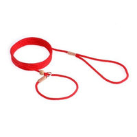 Alvalley Nylon Slip Lead with Stop for Dogs 4mm X 6ft