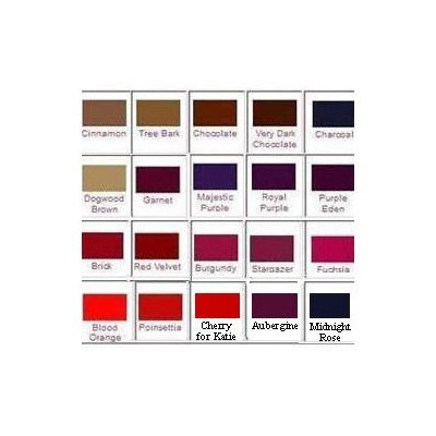Sugarpaste Crystal Color Powder Food Coloring One Jar of 2.75 Grams - Aubergine