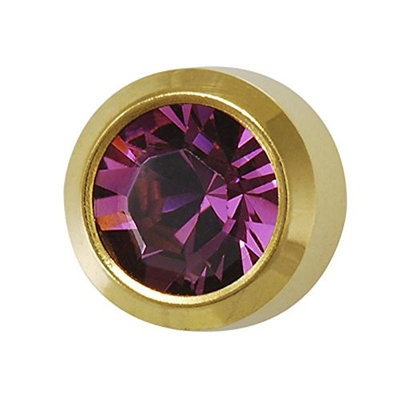 Studex February ear piercing Birthstones 12 Pair amethyst 24 K G