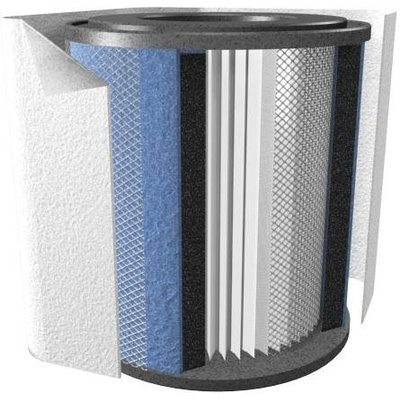 Austin Air Fr250b Healthmate Junior Plus Filter In White