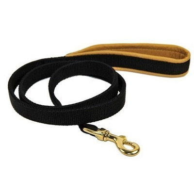Dean & Tyler Strong Nylon Padded Puppy Leash, Black
