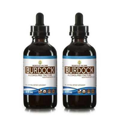 Secrets Of The Tribe Burdock Tincture Alcohol-FREE Extract, Organic Burdock (Arctium Lappa) Dried root 2x4 oz