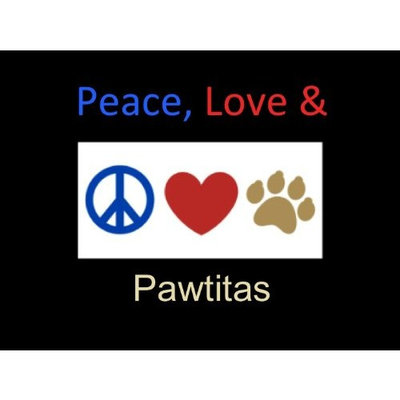 Pawtitas Puppy/Dog 6 - feet Reflective Padded Dog Leash, with Comfortable Padded Handle and Highly Reflective Threads - Heavy Duty Dog Training Leash for Large and Medium Dogs Walking Leads