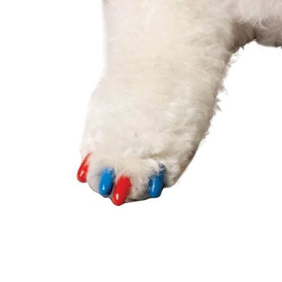 Canine Soft Claws 40-Pack Summer Colors Dog Nail Caps Kit, Small, Red and Blue