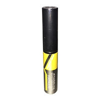 SEPHORA COLLECTION - Brow Highlighting Gel - #05 Gold - 3.6 ml / 0.12 fl oz
