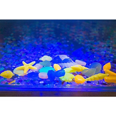 Glow Stones,Govine 60pcs Colorful Pebble Conch Shell in the Dark for Aquarium Fish Tank