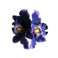 Double Orchid Flower Hair Clip, Violet