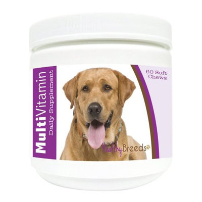 Healthy Breeds 1127-labs-003 60 Count Labrador Retriever Multi-Vitamin Soft Chews, One Size
