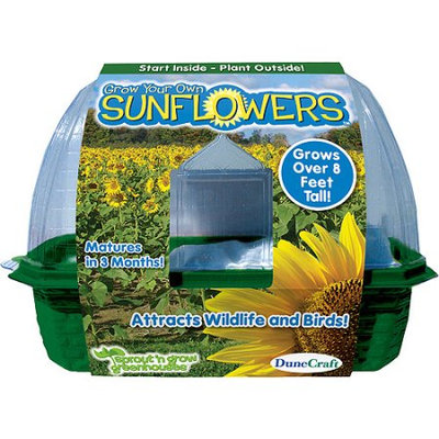 DuneCraft Grow Your Own Sunflowers