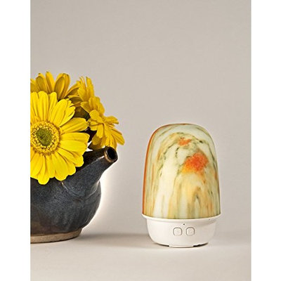 Mini Essential Oil Diffuser with LED Lights