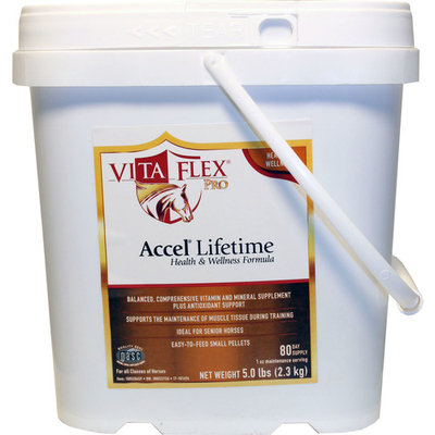ACCEL LIFETIME HEALTH AND WELLNESS PRO 40 DAY