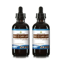 Secrets Of The Tribe Bao Zi Gan Lan Tincture Alcohol-FREE Extract, Organic Broccoli (Bao Zi Gan Lan, Brassica Oleracea) Dried Sprouting Seed 2x4 oz