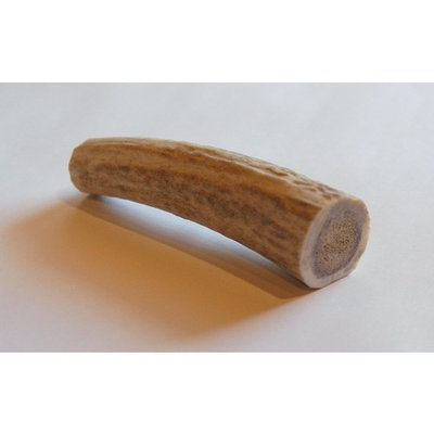 Small Elk Antler Dog Chew - Top Dog Chews