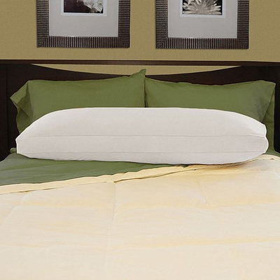 National Sleep Products White Brushed Cotton Natural Feather-filled Body Pillow with Cover