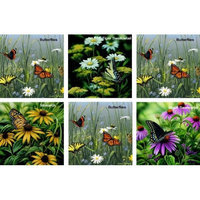 Hi-Look Inc. Rosemary Millette-Hautman Butterflies assorted - Pack of 6